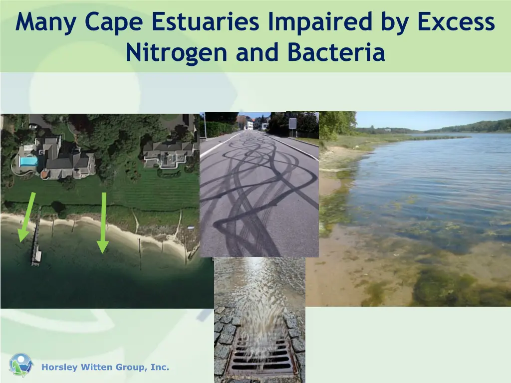 many cape estuaries impaired by excess nitrogen