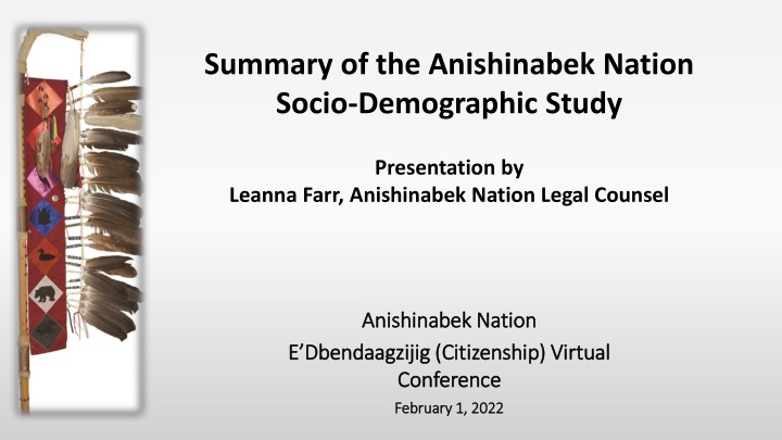 summary of the anishinabek nation socio