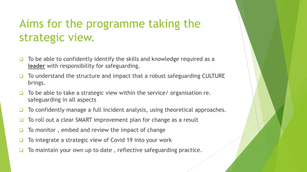 aims for the programme taking the strategic view