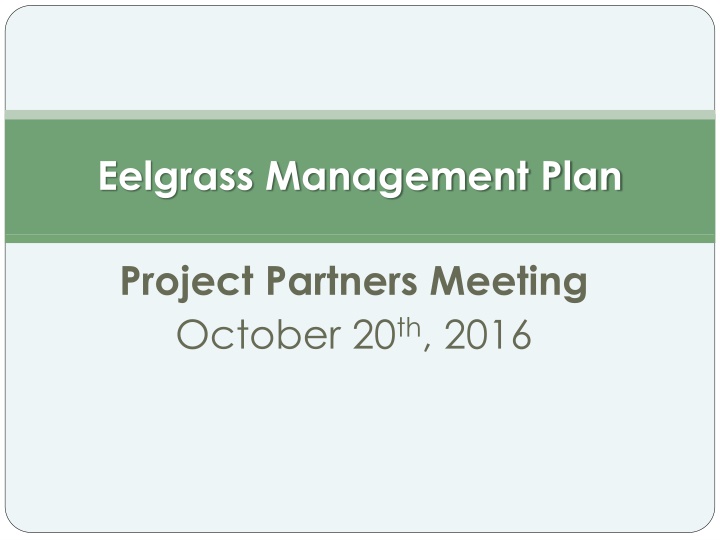 eelgrass management plan