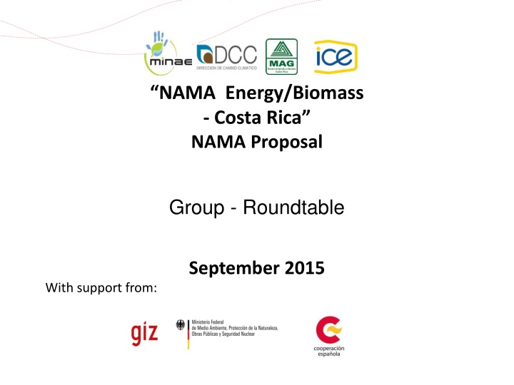 nama energy biomass costa rica nama proposal