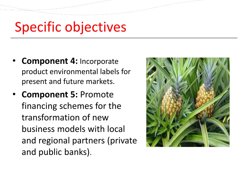 specific objectives 1