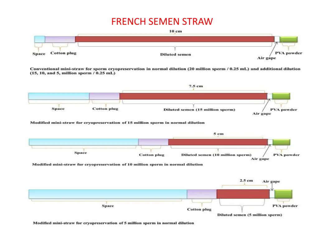 french semen straw 1