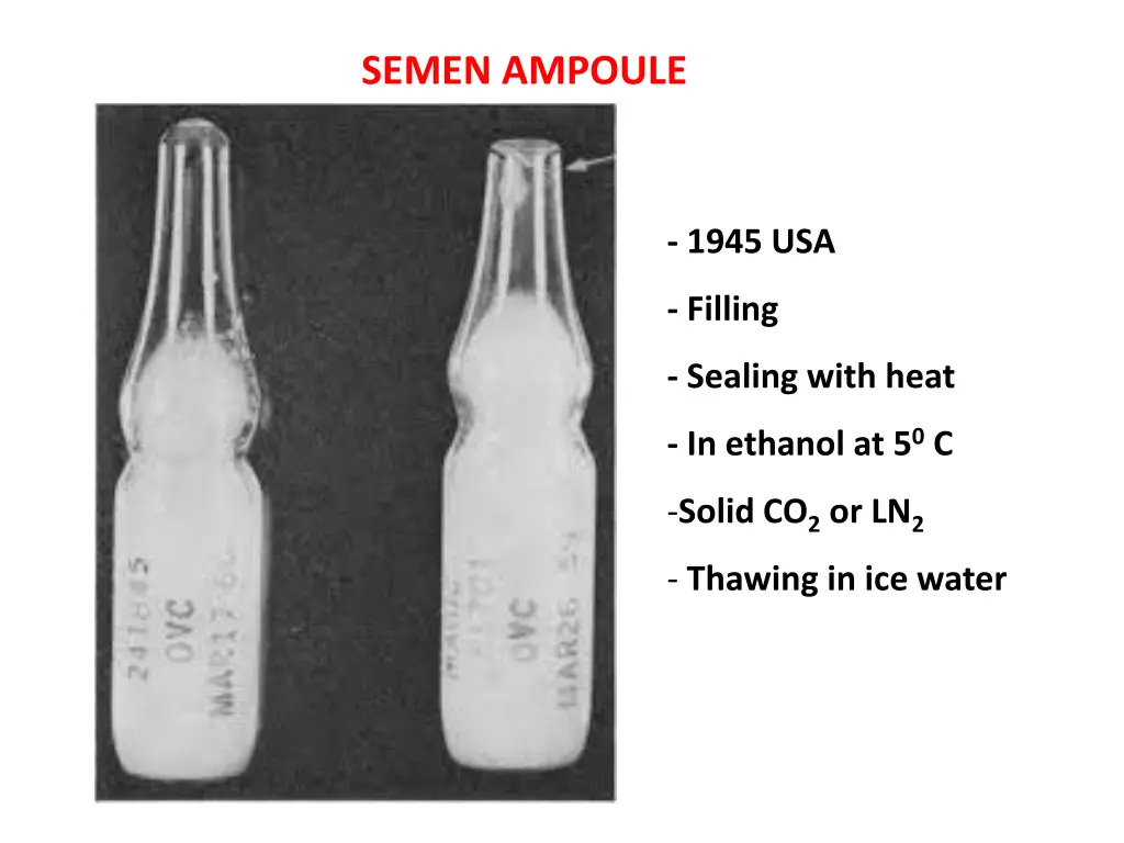 semen ampoule