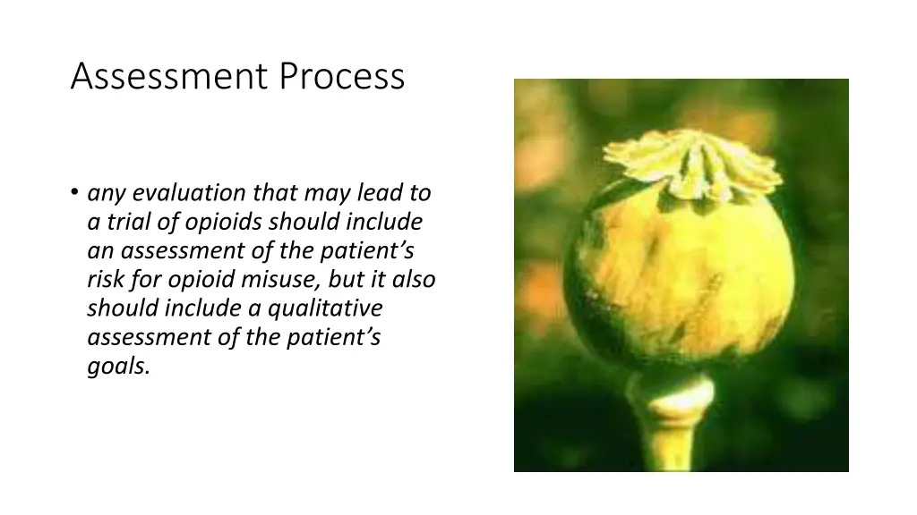 assessment process 5