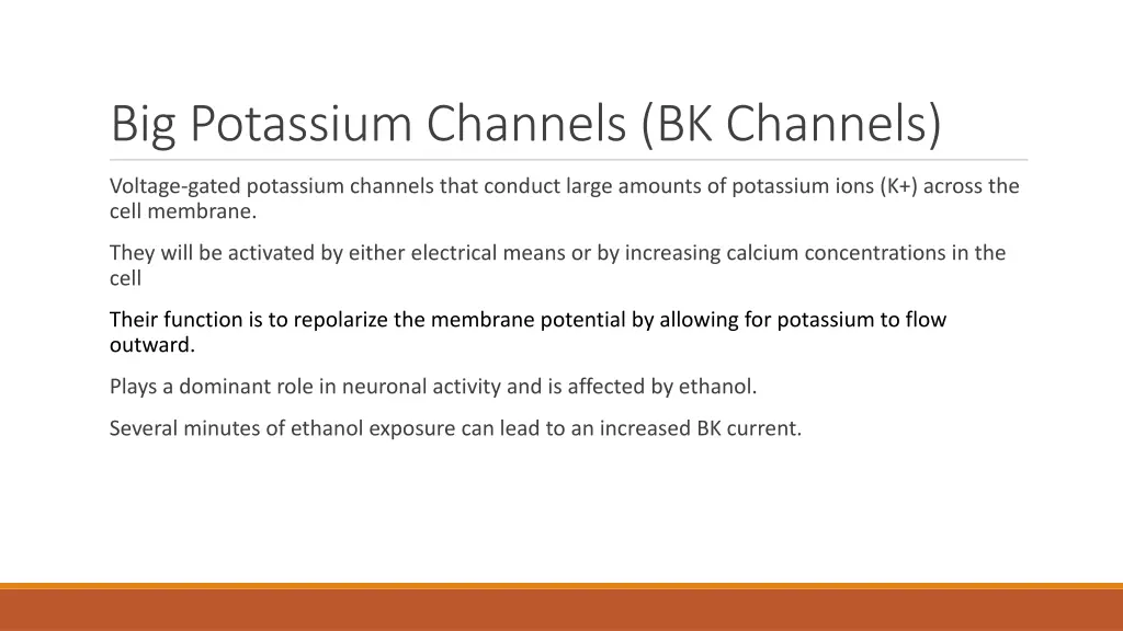 big potassium channels bk channels