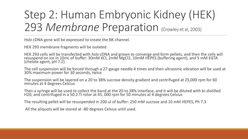 step 2 human embryonic kidney hek 293 membrane