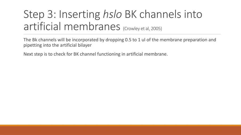 step 3 inserting hslo bk channels into artificial