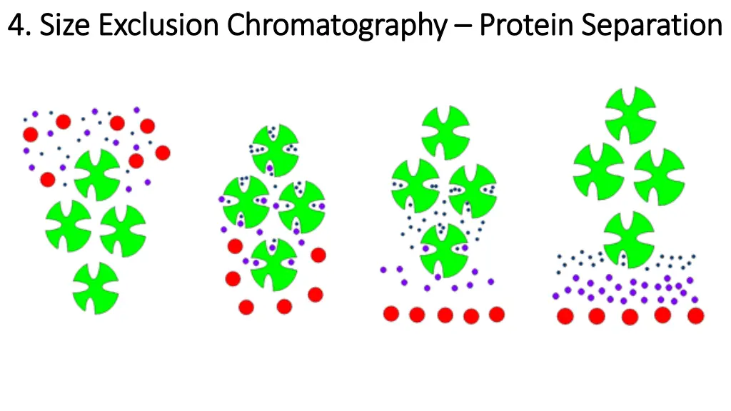 4 size exclusion 4 size exclusion chromatography