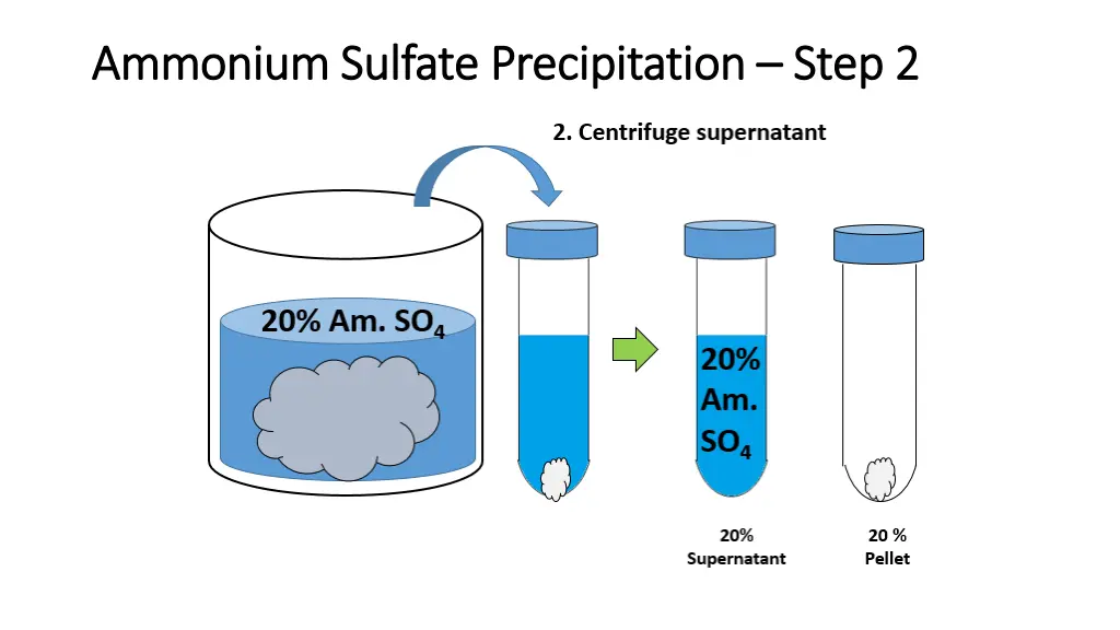 ammonium sulfate precipitation ammonium sulfate 3