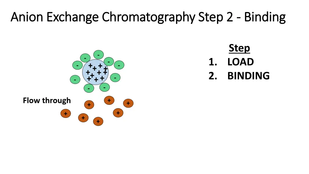 anion exchange anion exchange chromatography step 1