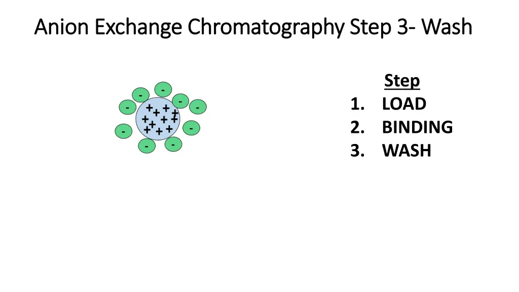 anion exchange anion exchange chromatography step 2