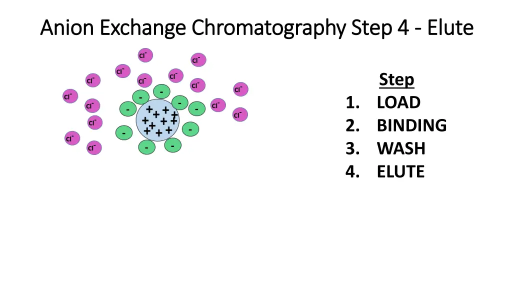 anion exchange anion exchange chromatography step 3