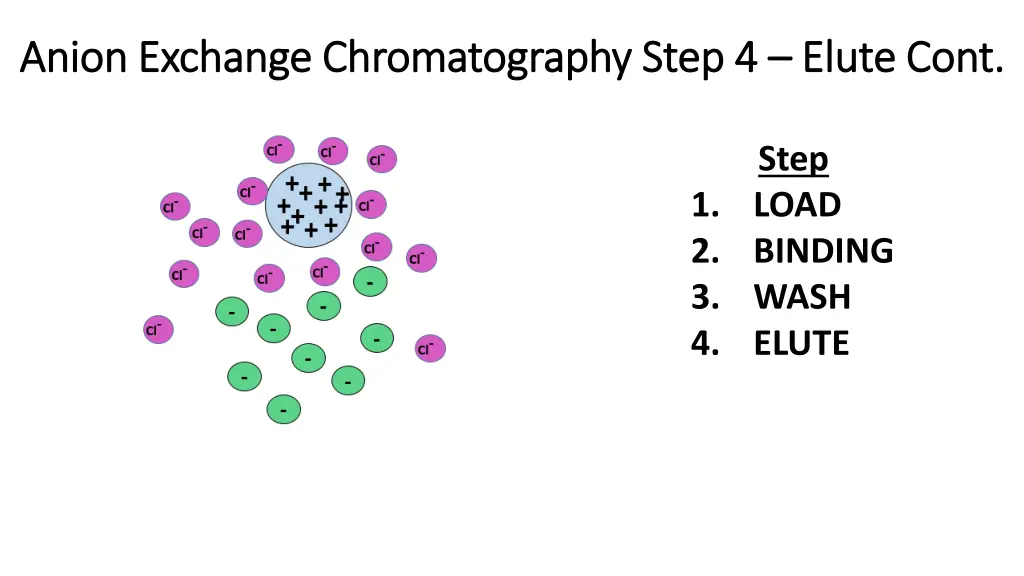 anion exchange anion exchange chromatography step 4