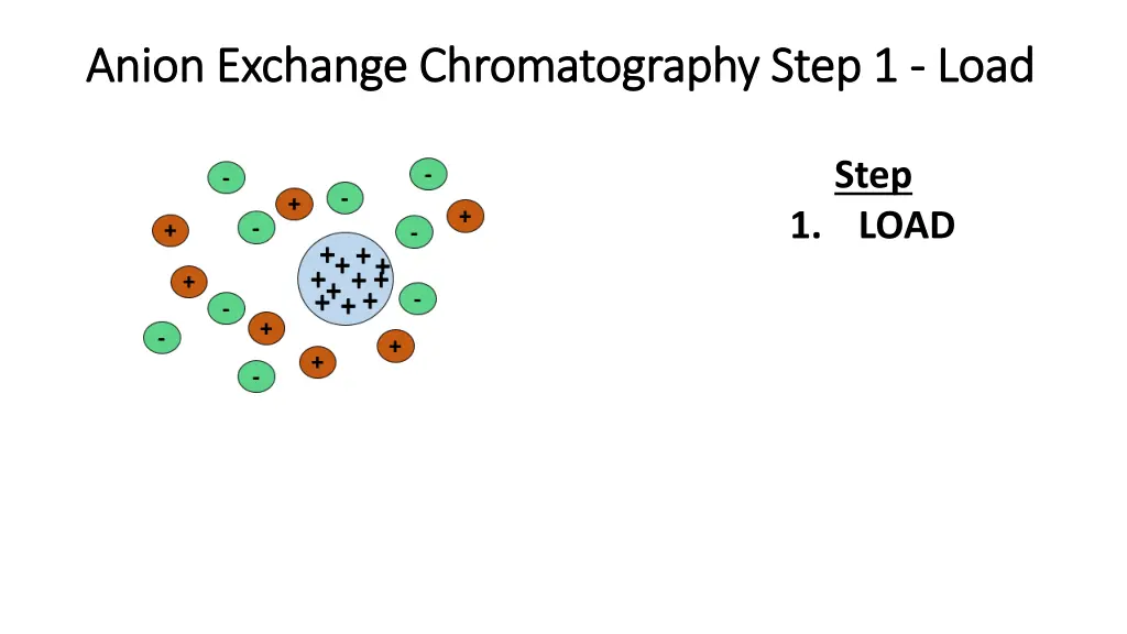 anion exchange anion exchange chromatography step