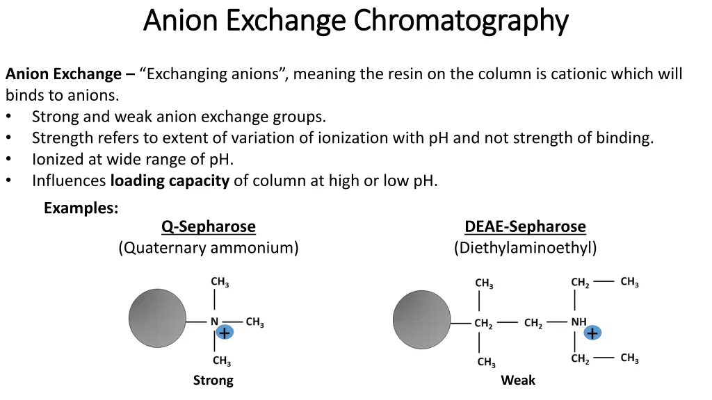 anion exchange chromatography anion exchange