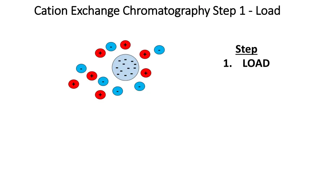 cation exchange cation exchange chromatography