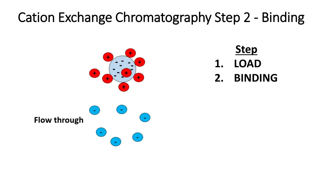 cation exchange chromatography cation exchange 1