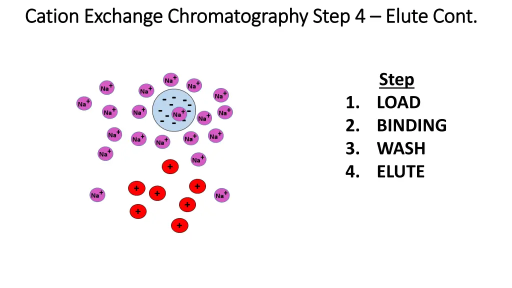 cation exchange chromatography cation exchange 2