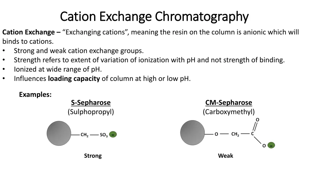 cation exchange chromatography cation exchange