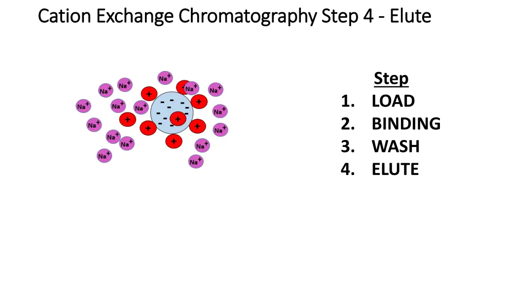 cation exchange chromatography step cation 1