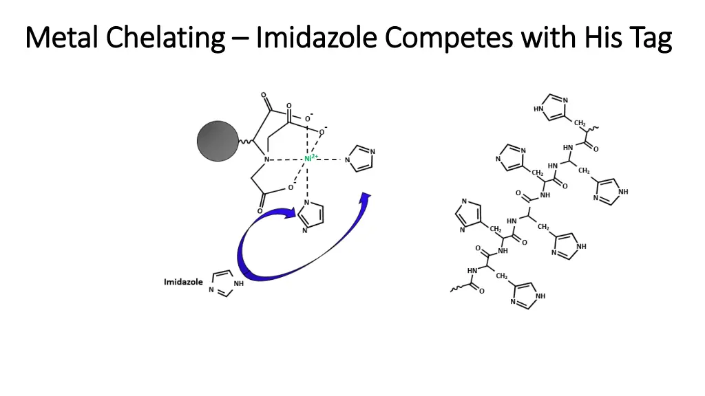 metal chelating metal chelating imidazole 1