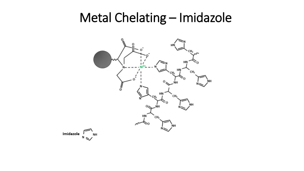 metal chelating metal chelating imidazole