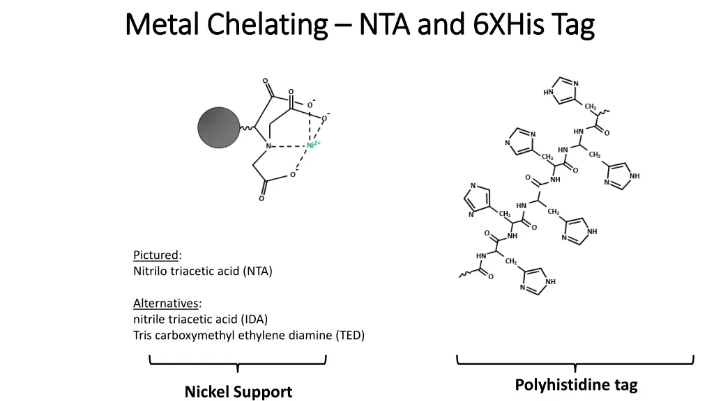 metal chelating metal chelating nta and 6xhis