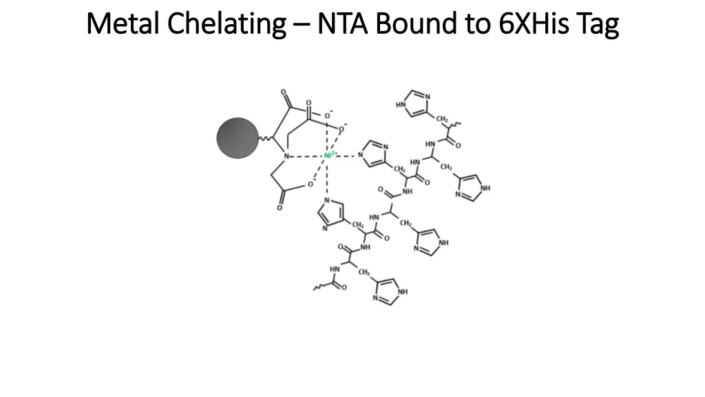 metal chelating metal chelating nta bound