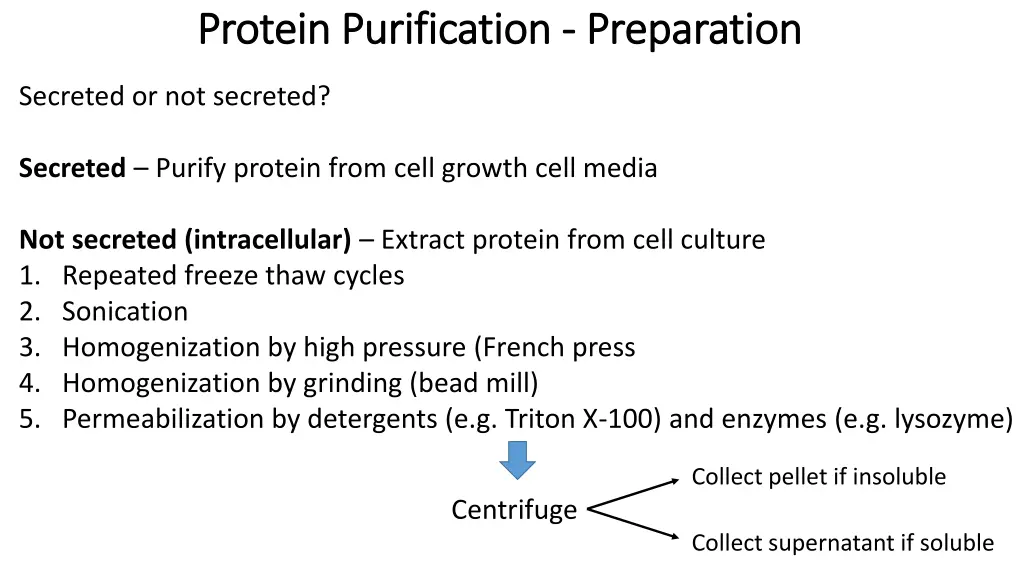 protein purification protein purification 1