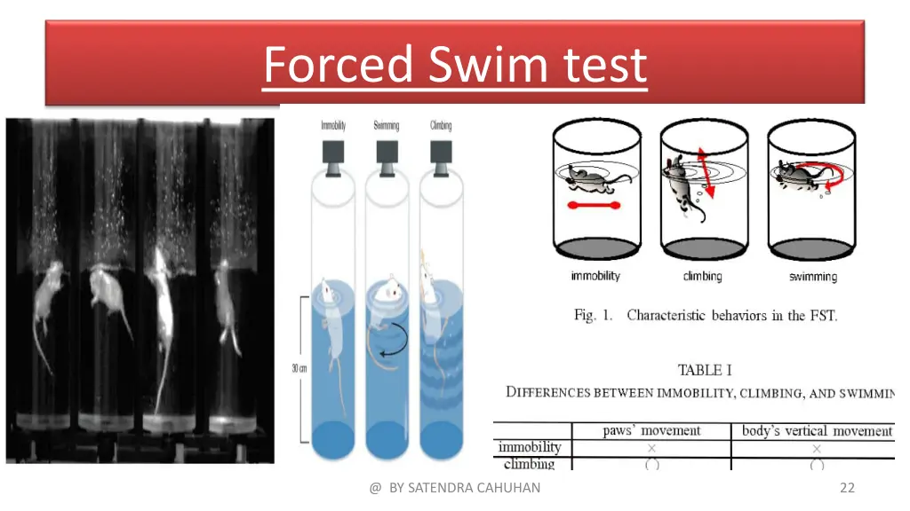 forced swim test