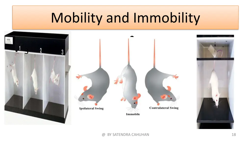 mobility and immobility