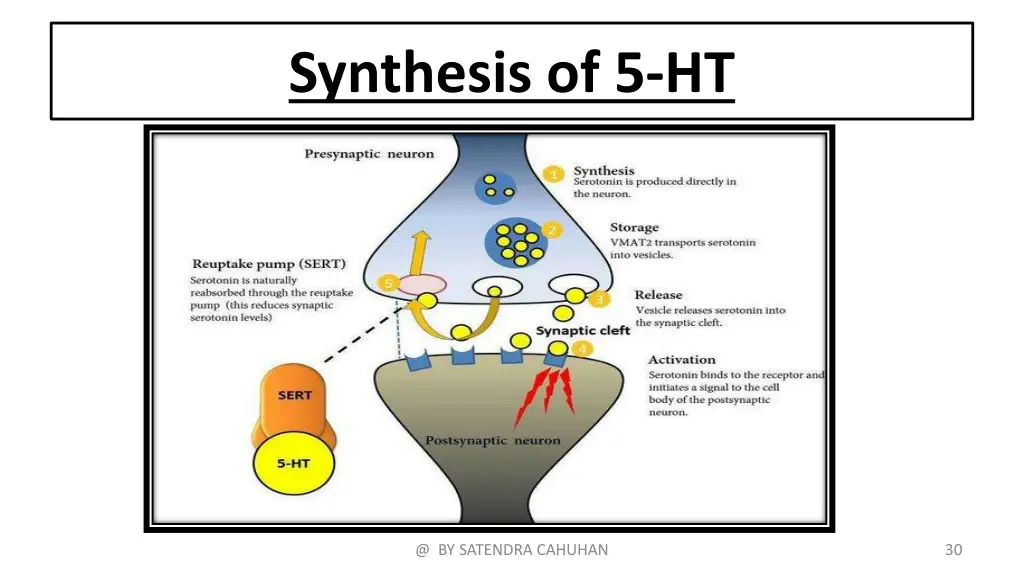 synthesis of 5 ht