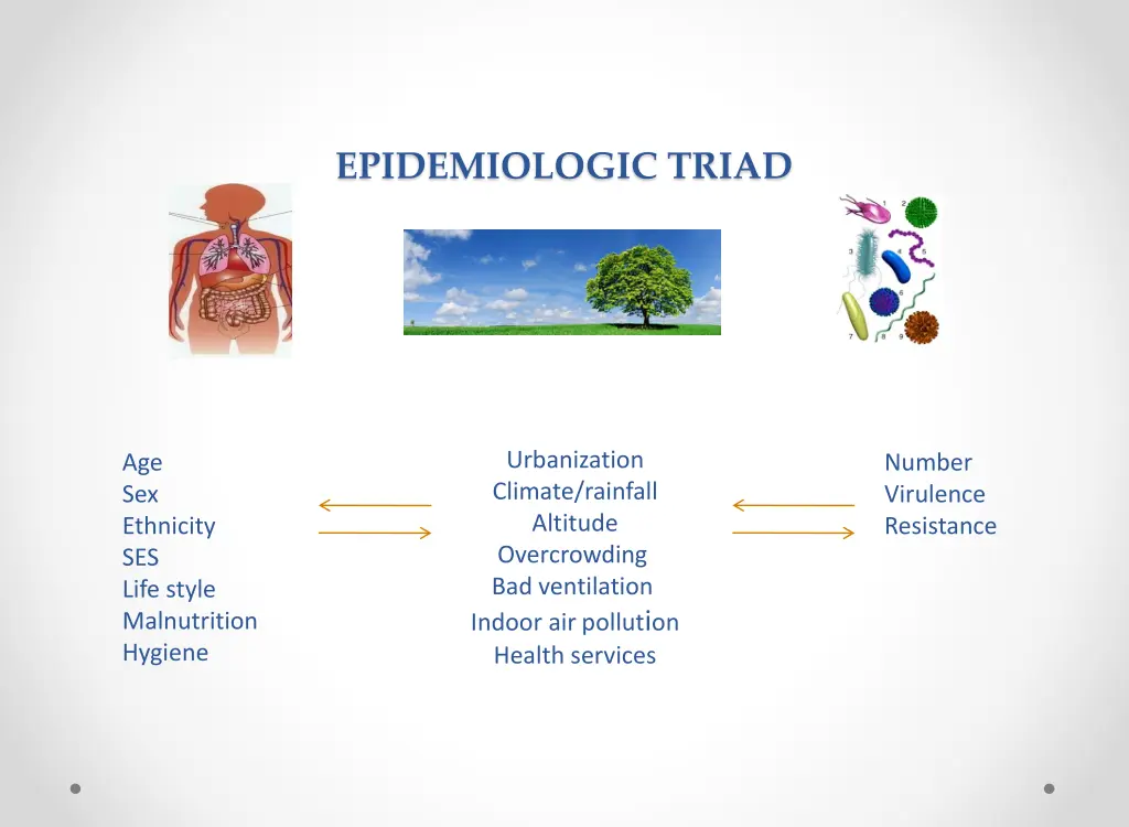 epidemiologic triad 1