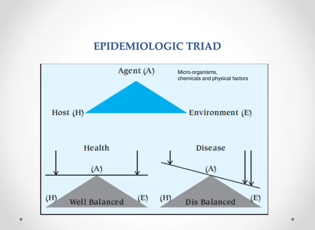 epidemiologic triad