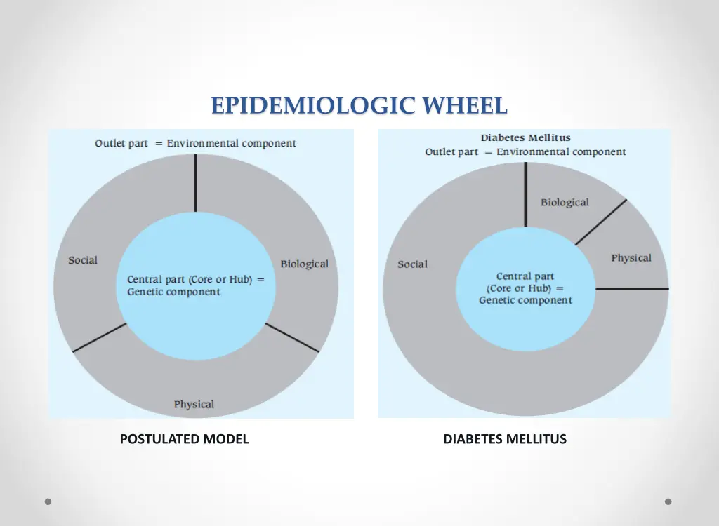 epidemiologic wheel 1