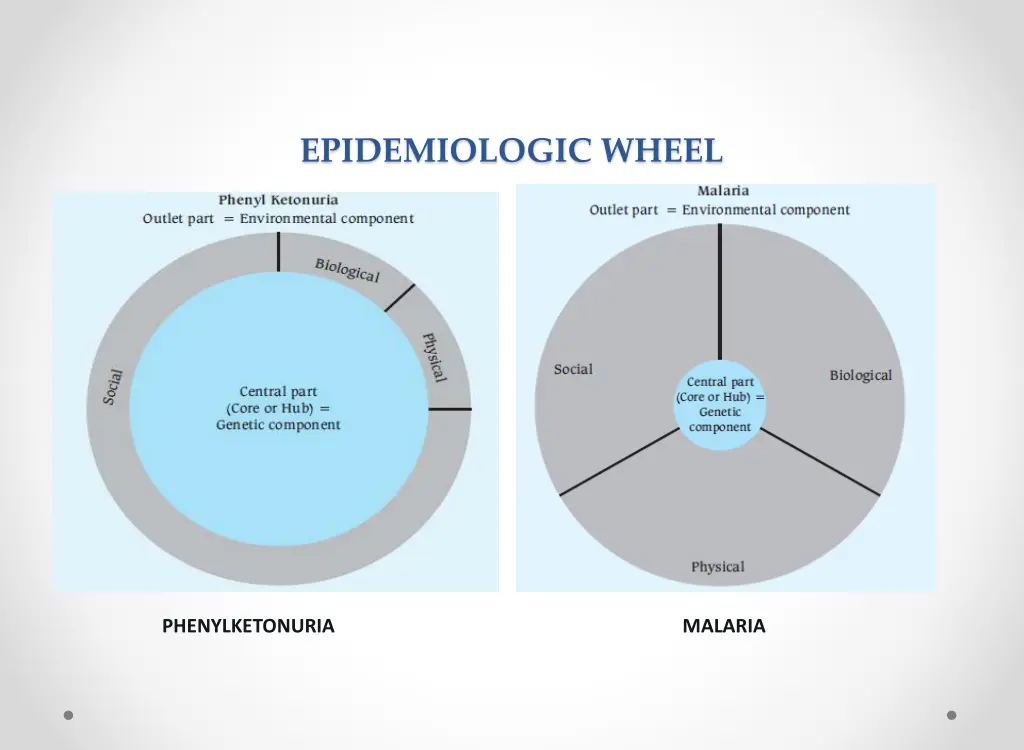 epidemiologic wheel 2