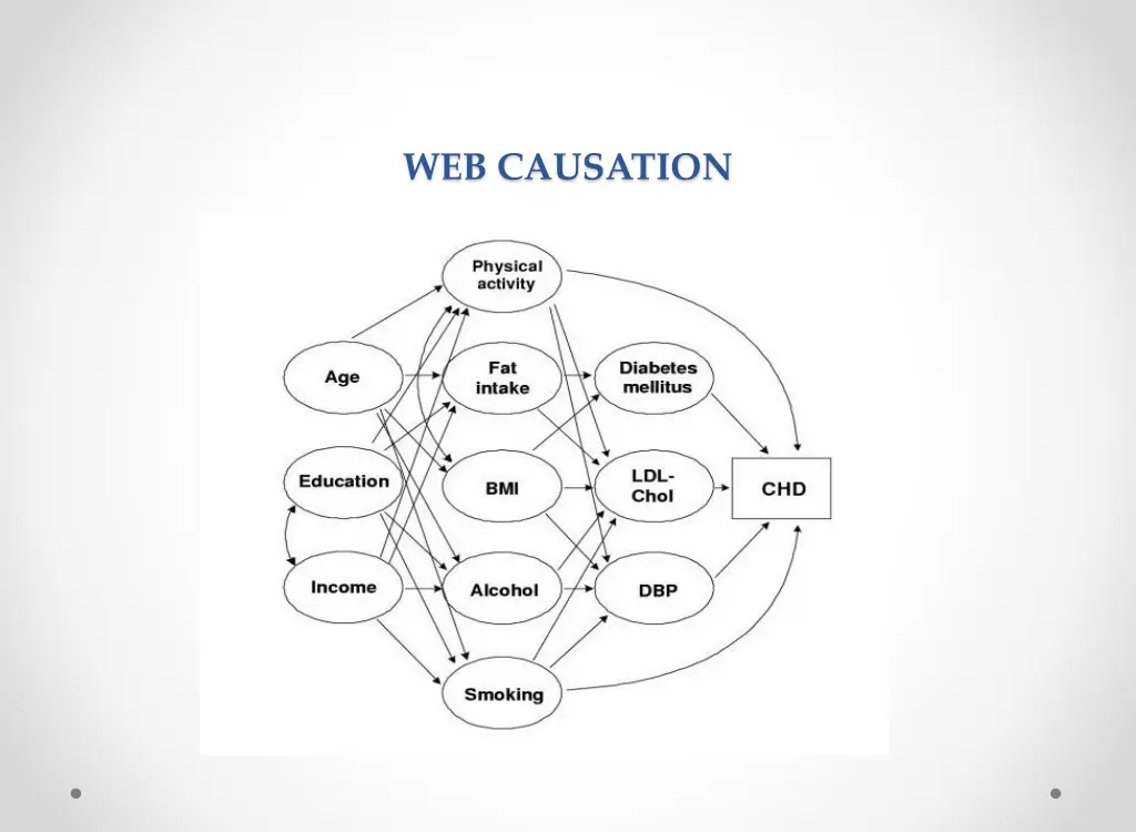 web causation 1