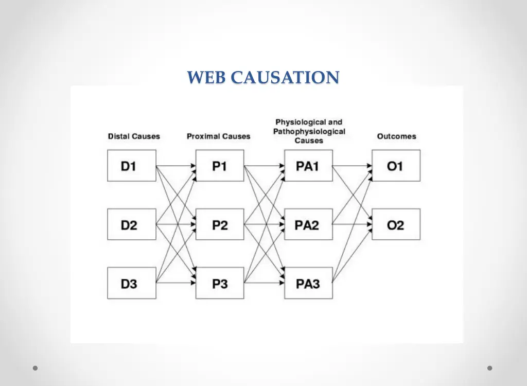 web causation