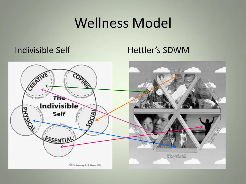 wellness model