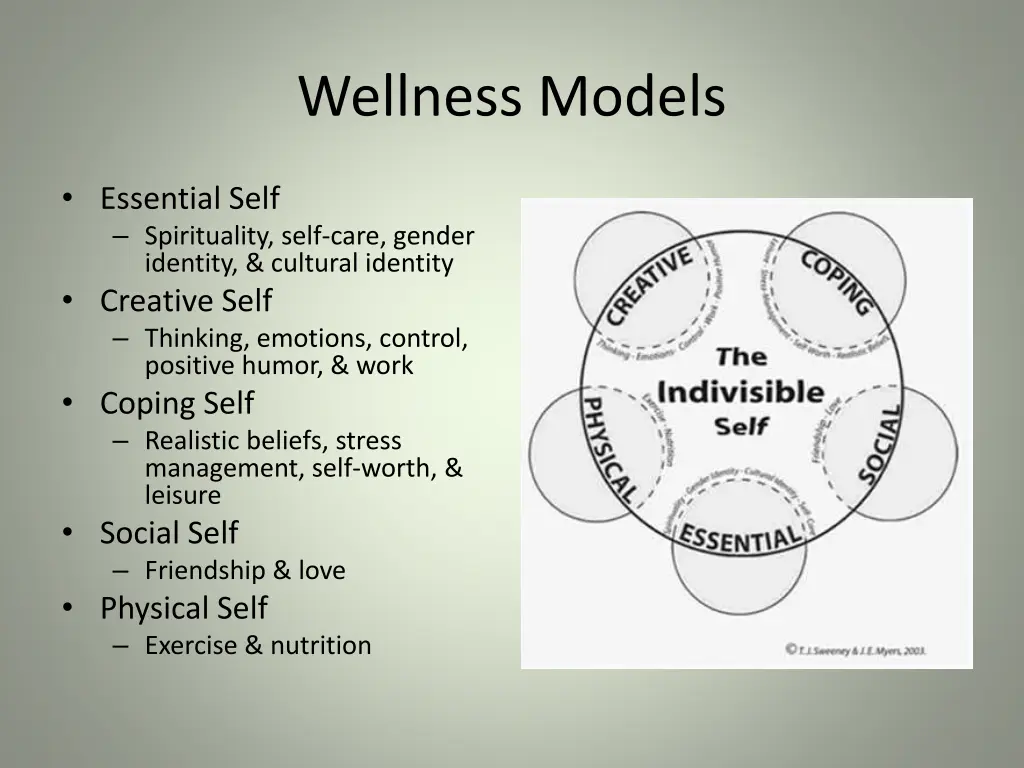 wellness models 3