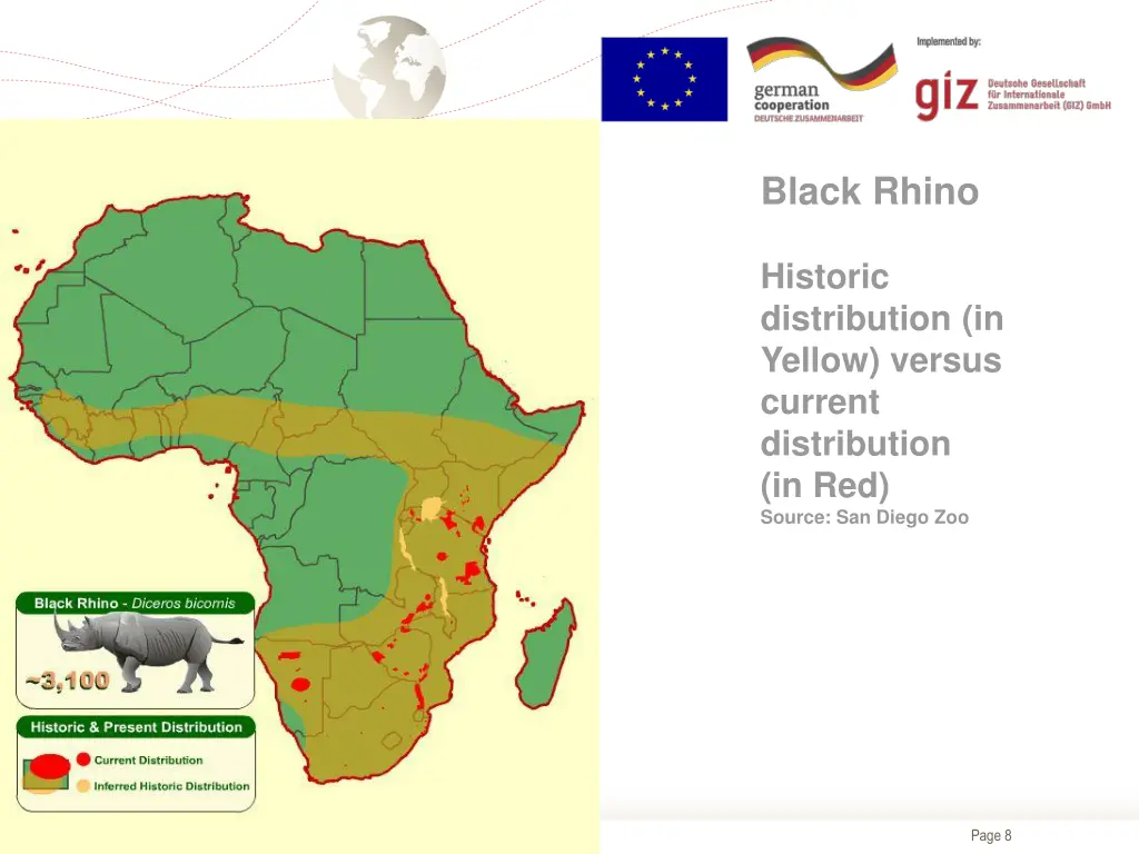 black rhino 1