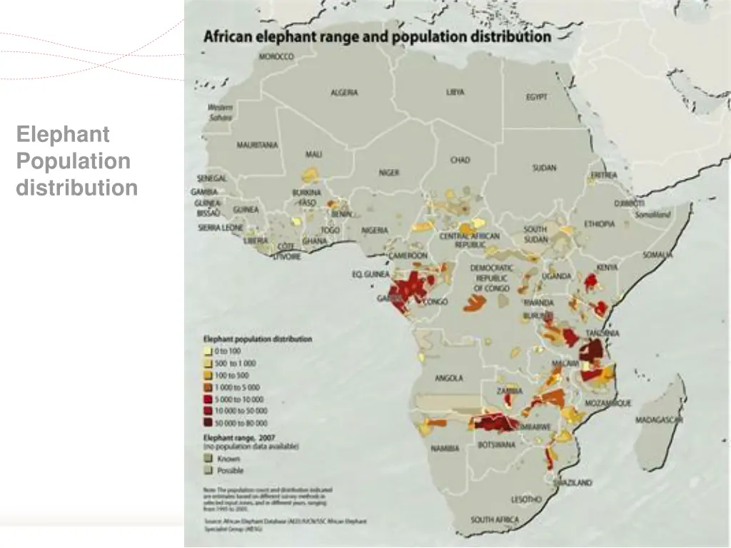 elephant population distribution