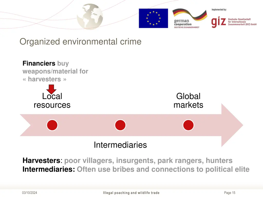 organized environmental crime