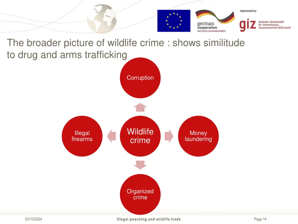 the broader picture of wildlife crime shows