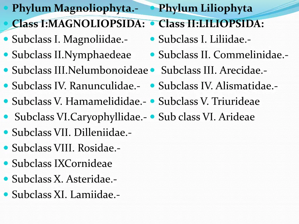 phylum magnoliophyta class i magnoliopsida