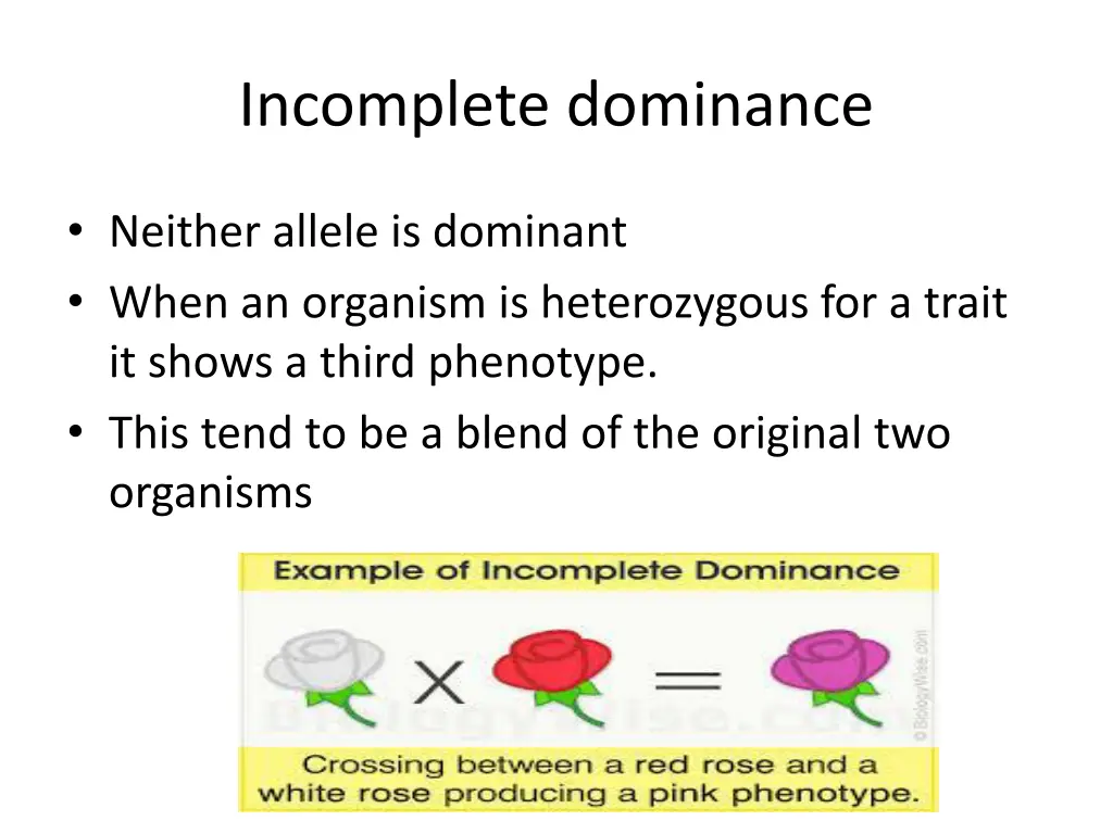 incomplete dominance