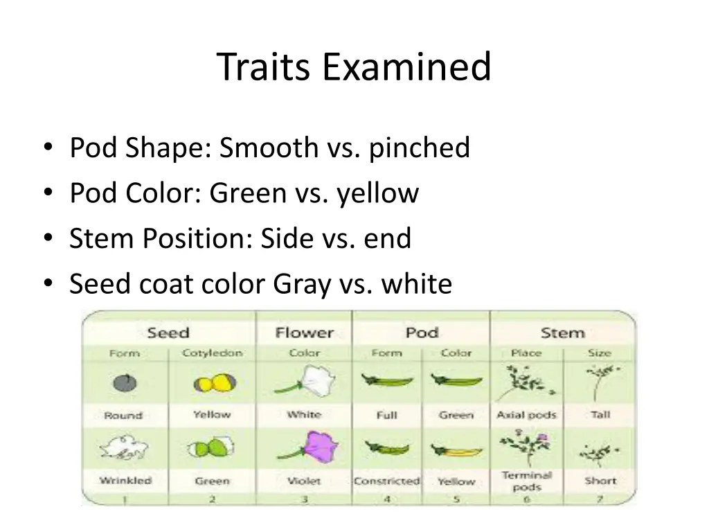 traits examined 1