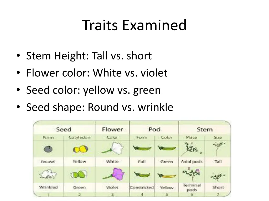 traits examined