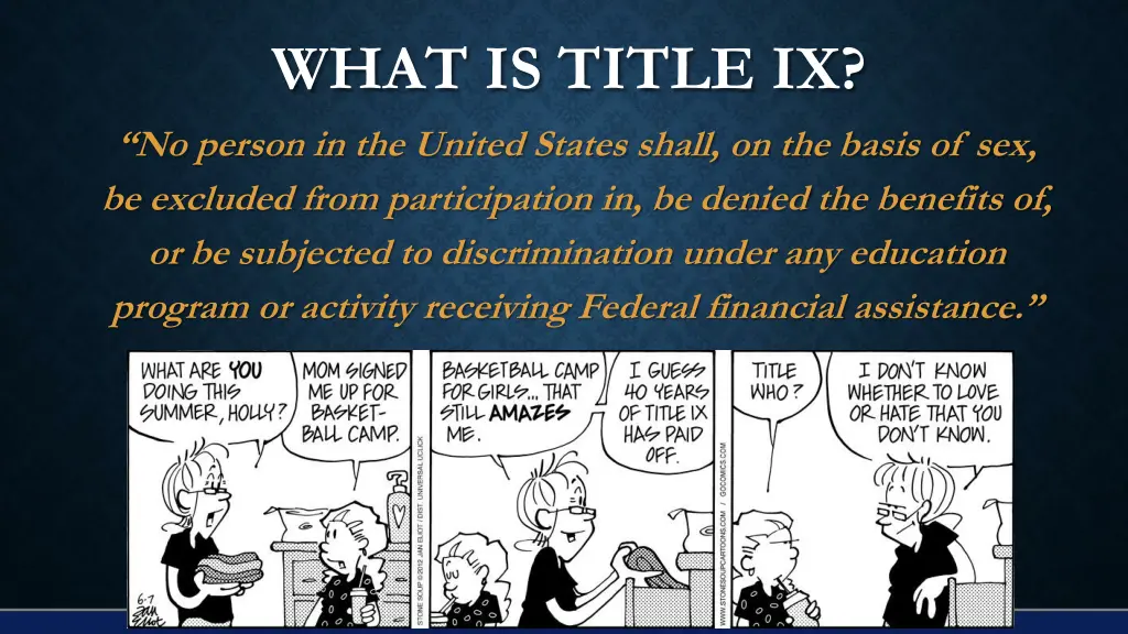 what is title ix no person in the united states